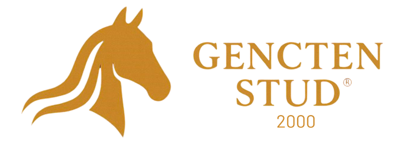 Gençten Stud